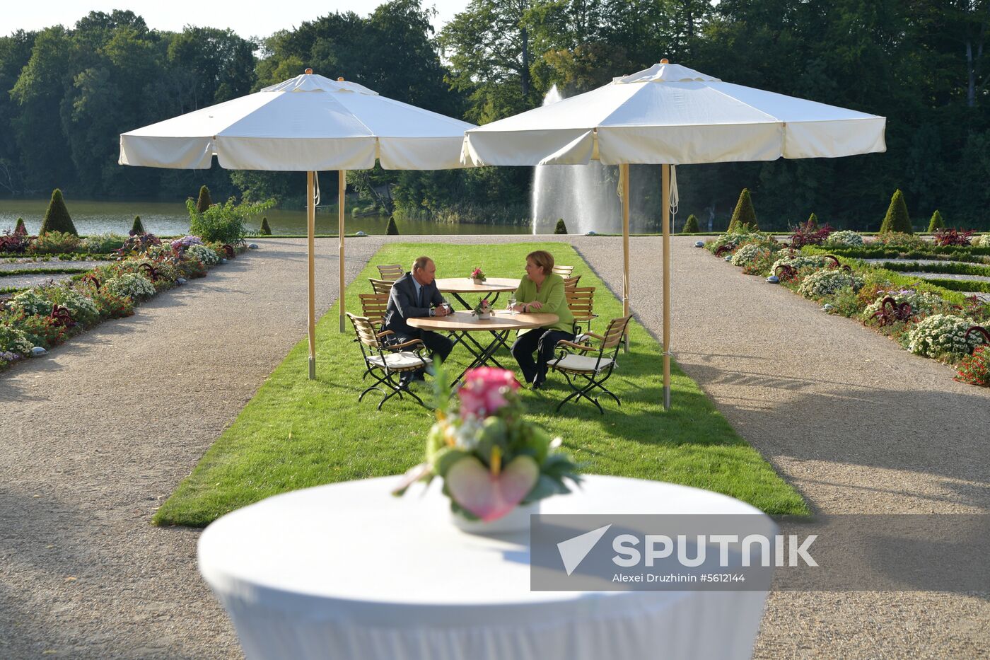 Presdient Putin's working visit to Germany