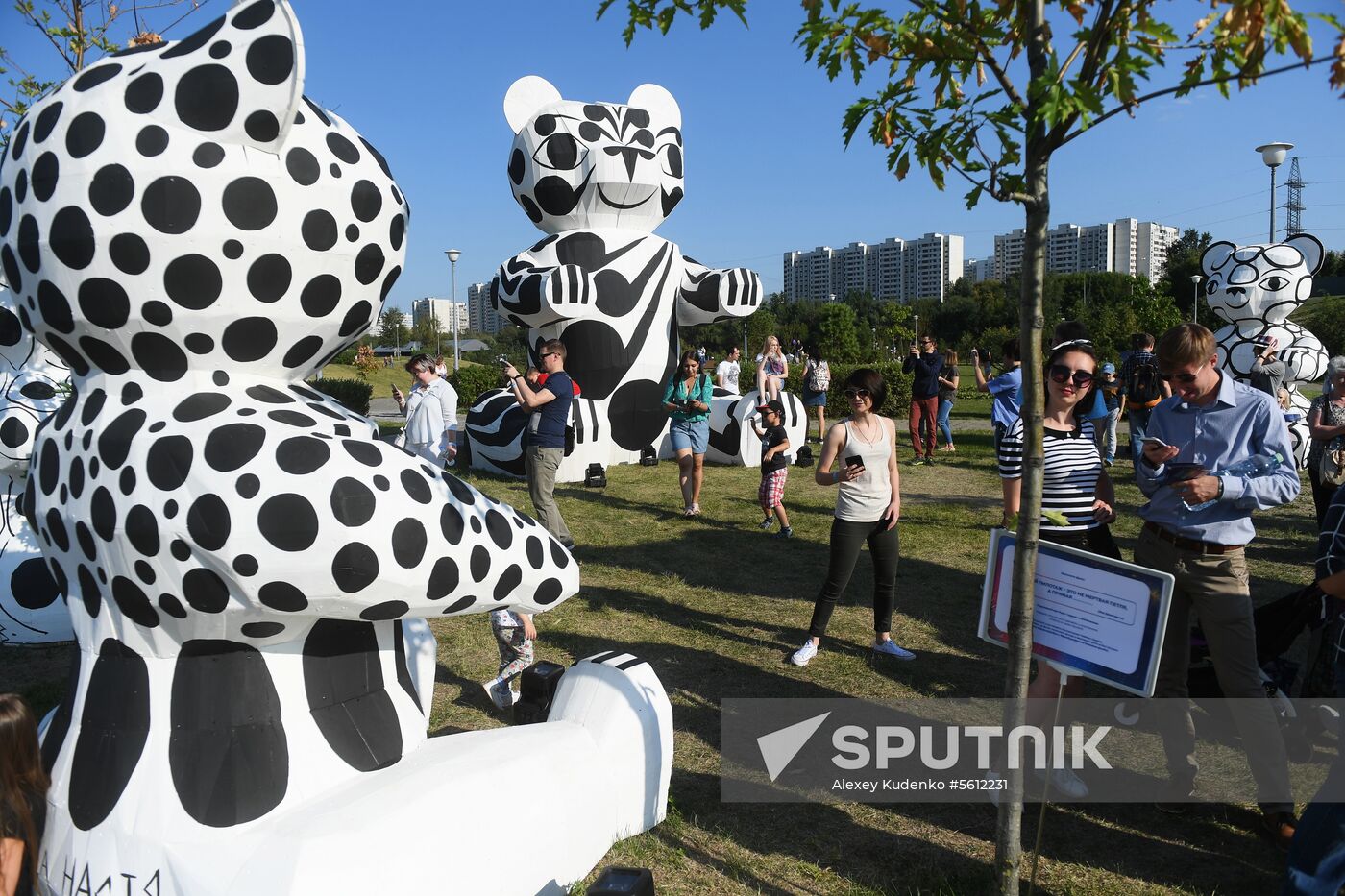 Rostec fireworks festival