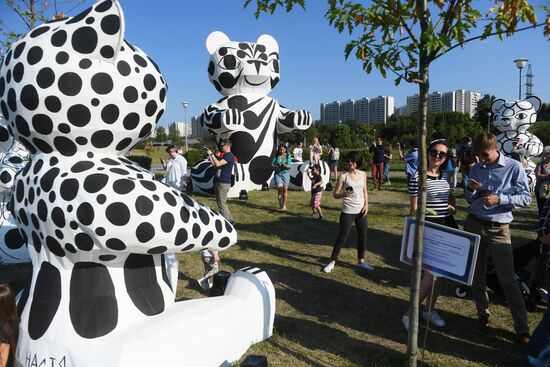 Rostec fireworks festival