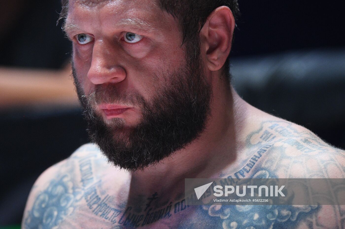 Mixed martial arts. Aleksander Emelianenko vs. Tony Johnson