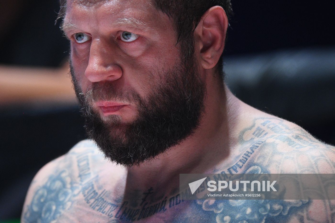 Mixed martial arts. Aleksander Emelianenko vs. Tony Johnson