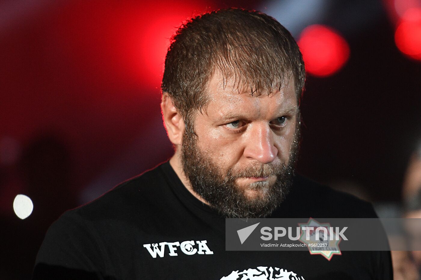 Mixed martial arts. Aleksander Emelianenko vs. Tony Johnson