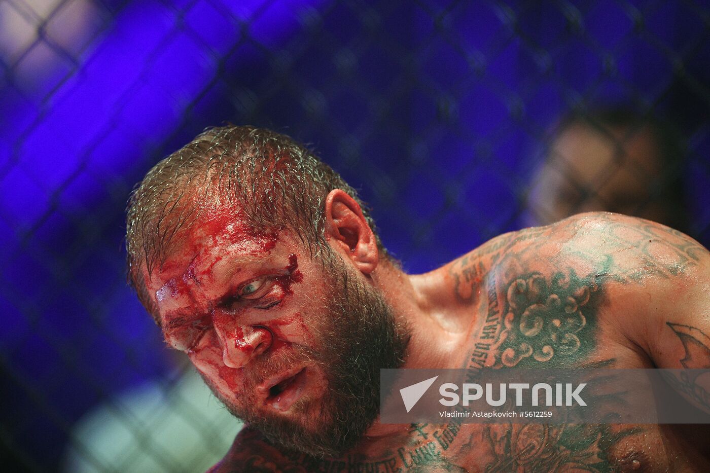 Mixed martial arts. Aleksander Emelianenko vs. Tony Johnson