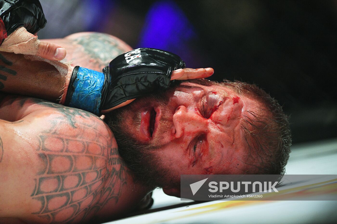 Mixed martial arts. Aleksander Emelianenko vs. Tony Johnson