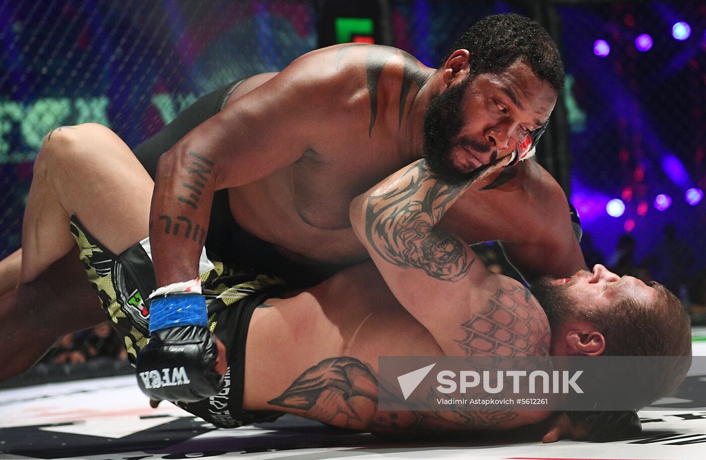 Mixed martial arts. Aleksander Emelianenko vs. Tony Johnson