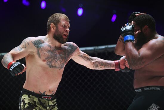 Mixed martial arts. Aleksander Emelianenko vs. Tony Johnson