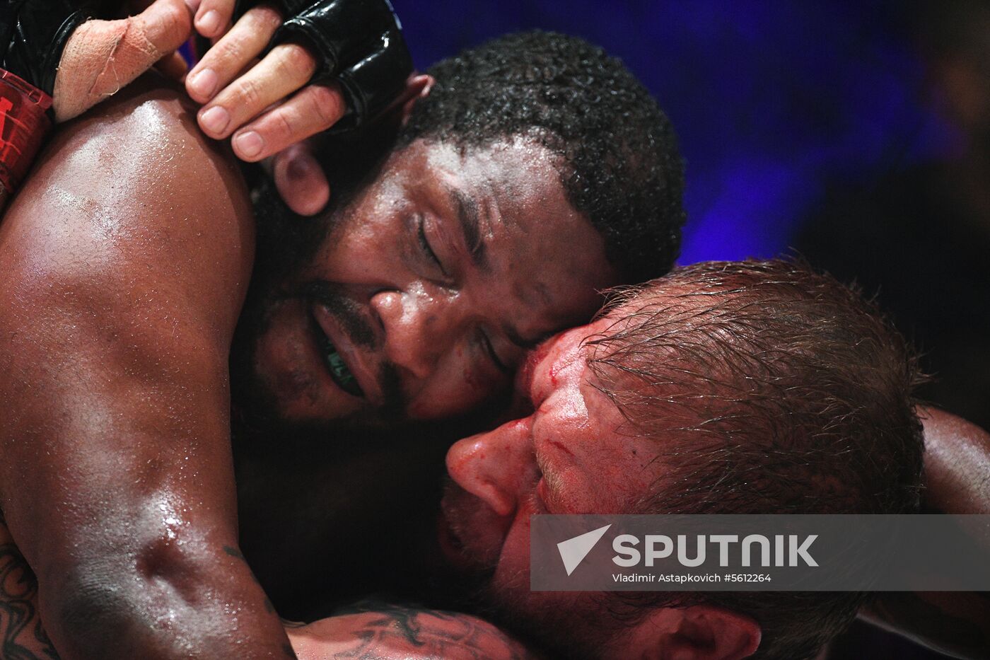 Mixed martial arts. Aleksander Emelianenko vs. Tony Johnson