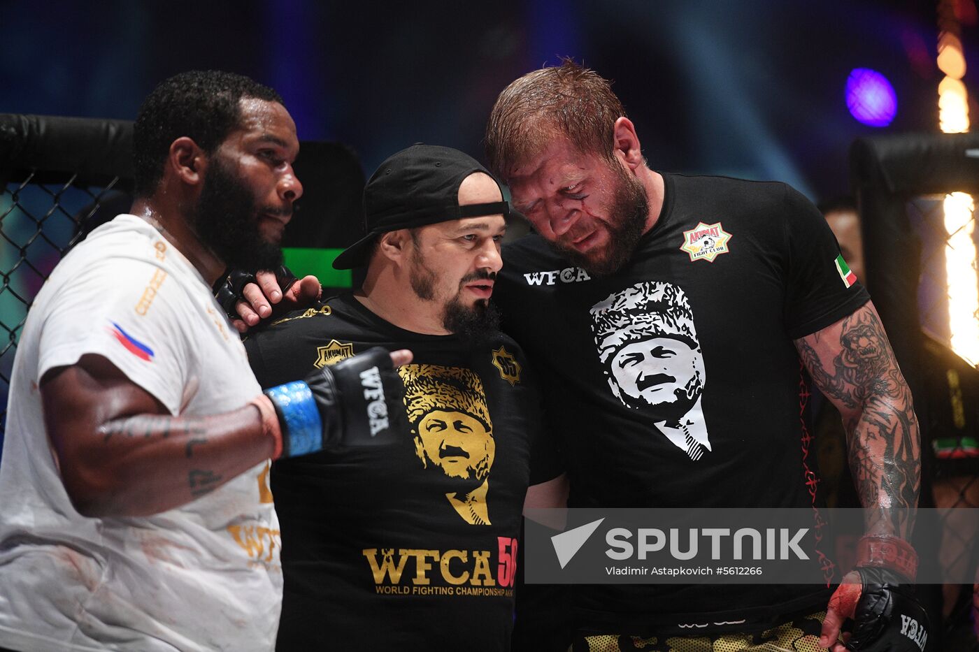 Mixed martial arts. Aleksander Emelianenko vs. Tony Johnson