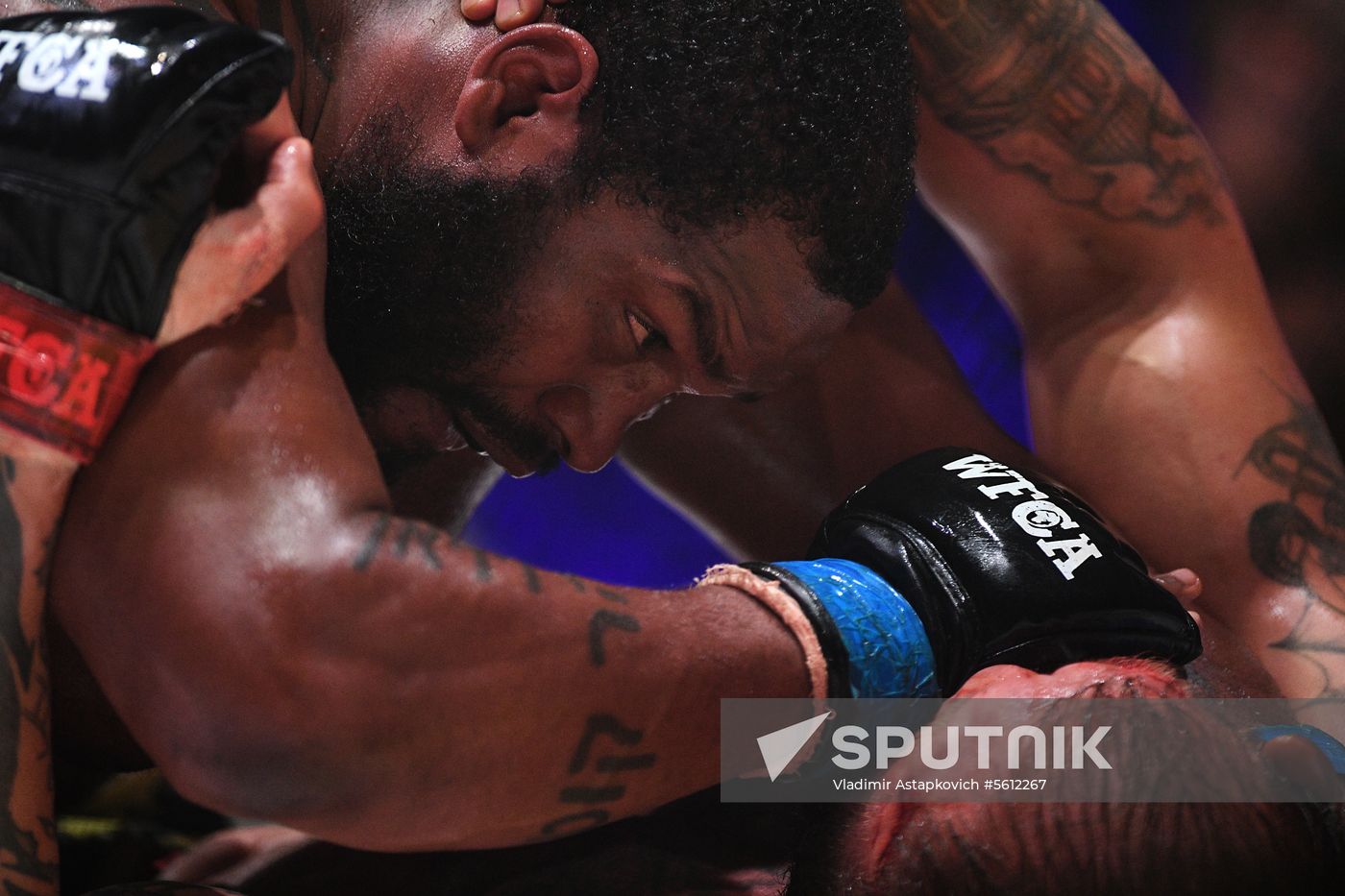Mixed martial arts. Aleksander Emelianenko vs. Tony Johnson