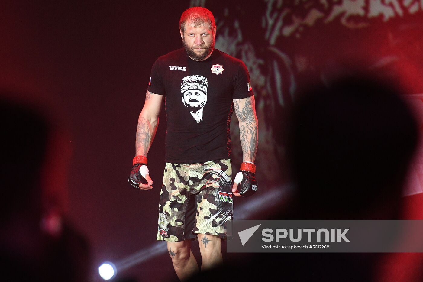Mixed martial arts. Aleksander Emelianenko vs. Tony Johnson