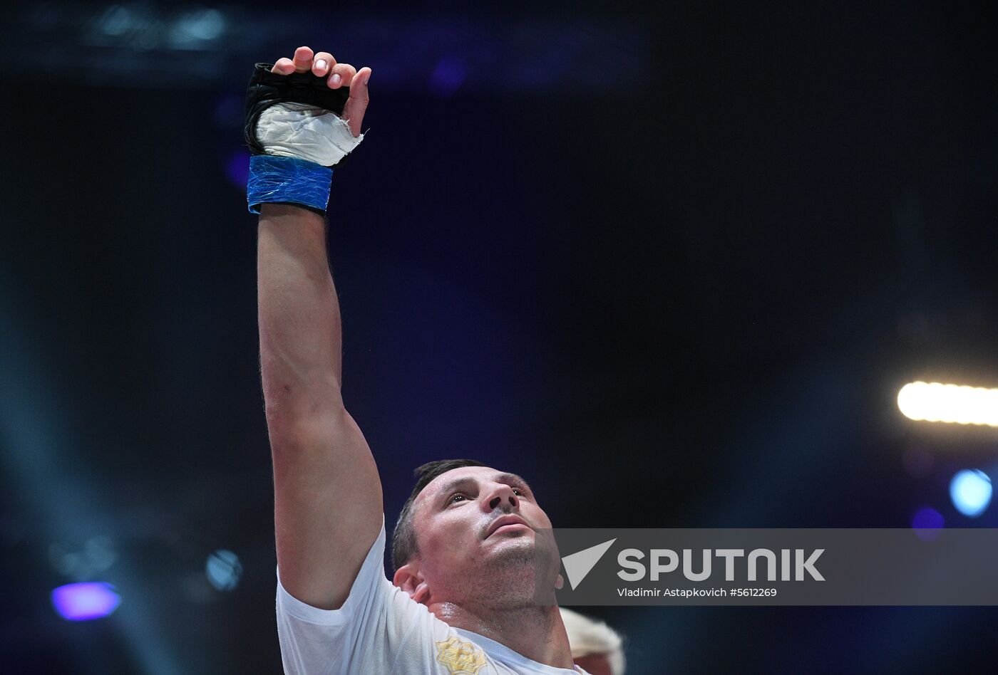 Mixed martial arts. Aleksander Emelianenko vs. Tony Johnson