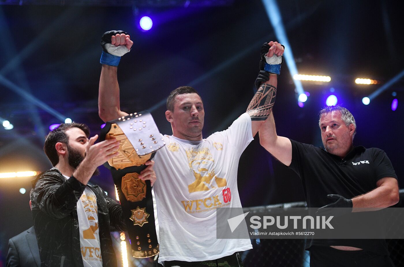 Mixed martial arts. Aleksander Emelianenko vs. Tony Johnson