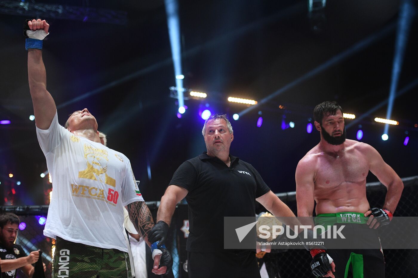 Mixed martial arts. Aleksander Emelianenko vs. Tony Johnson