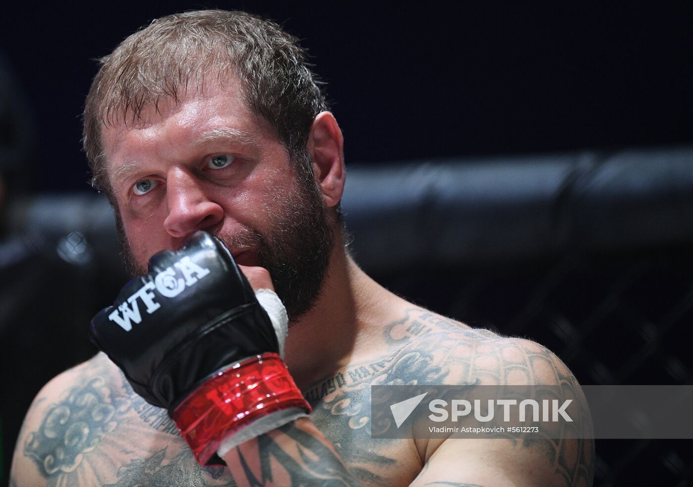 Mixed martial arts. Aleksander Emelianenko vs. Tony Johnson