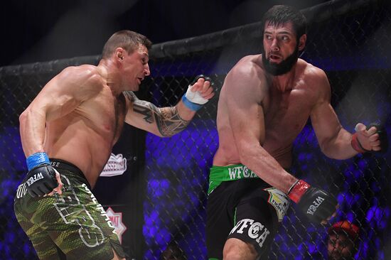 Mixed martial arts. Aleksander Emelianenko vs. Tony Johnson