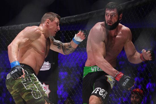 Mixed martial arts. Aleksander Emelianenko vs. Tony Johnson