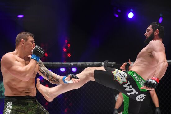 Mixed martial arts. Aleksander Emelianenko vs. Tony Johnson