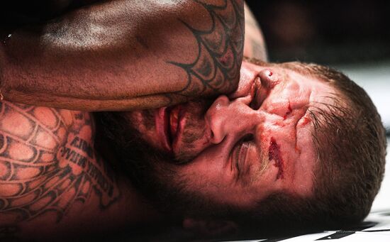 Mixed martial arts. Aleksander Emelianenko vs. Tony Johnson