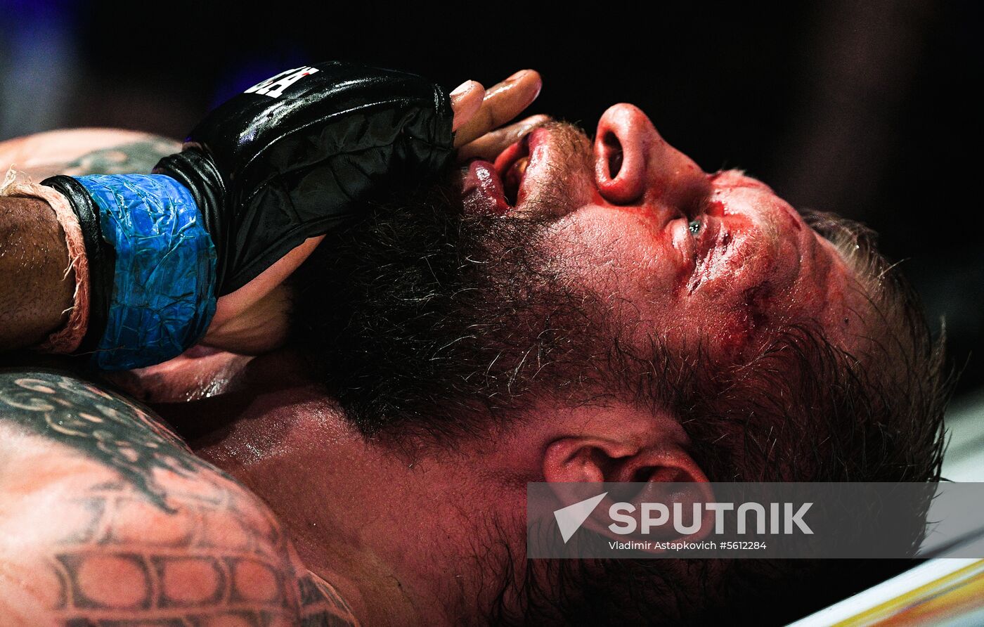 Mixed martial arts. Aleksander Emelianenko vs. Tony Johnson