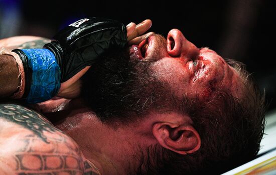 Mixed martial arts. Aleksander Emelianenko vs. Tony Johnson