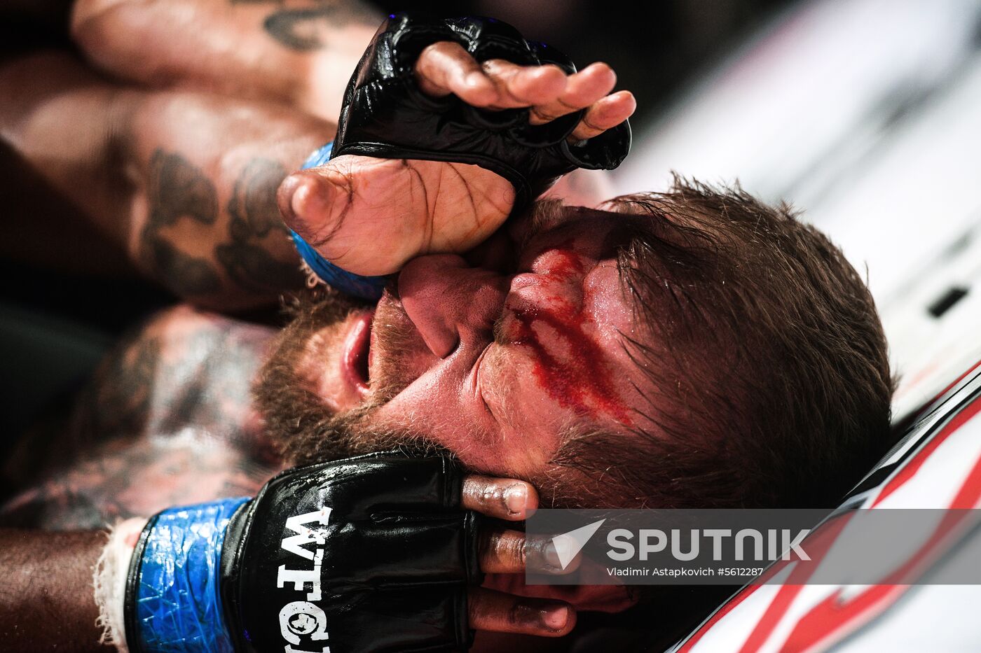 Mixed martial arts. Aleksander Emelianenko vs. Tony Johnson