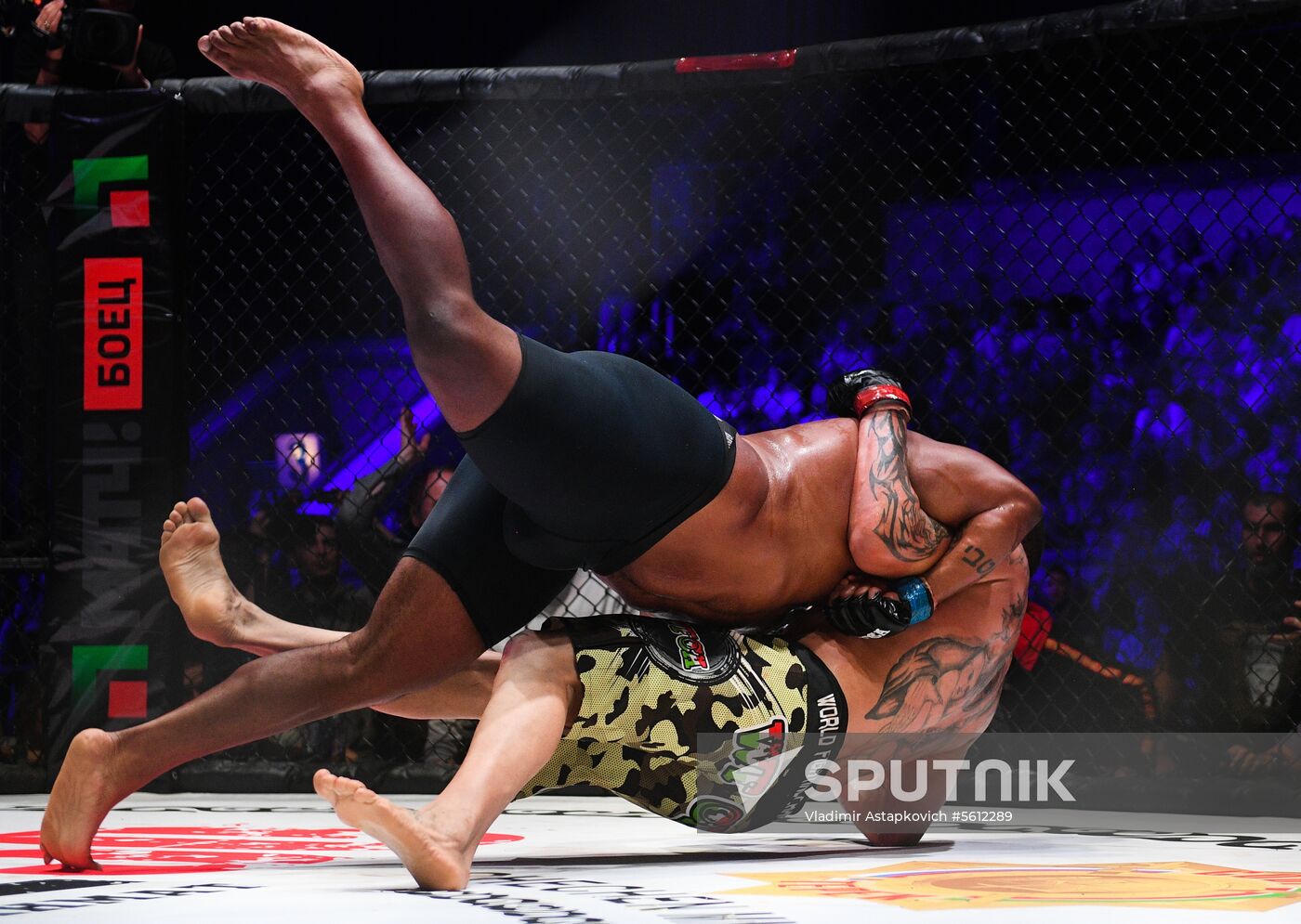 Mixed martial arts. Aleksander Emelianenko vs. Tony Johnson