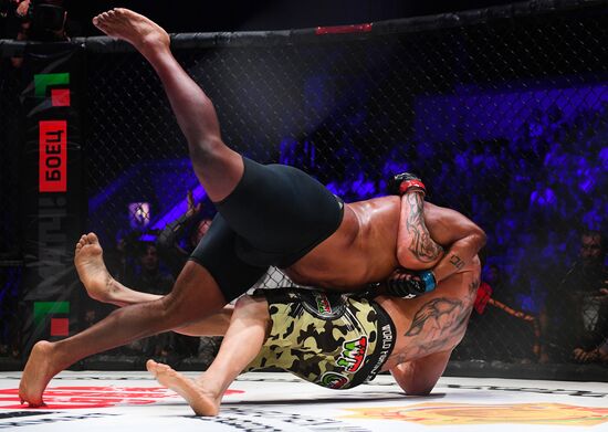 Mixed martial arts. Aleksander Emelianenko vs. Tony Johnson