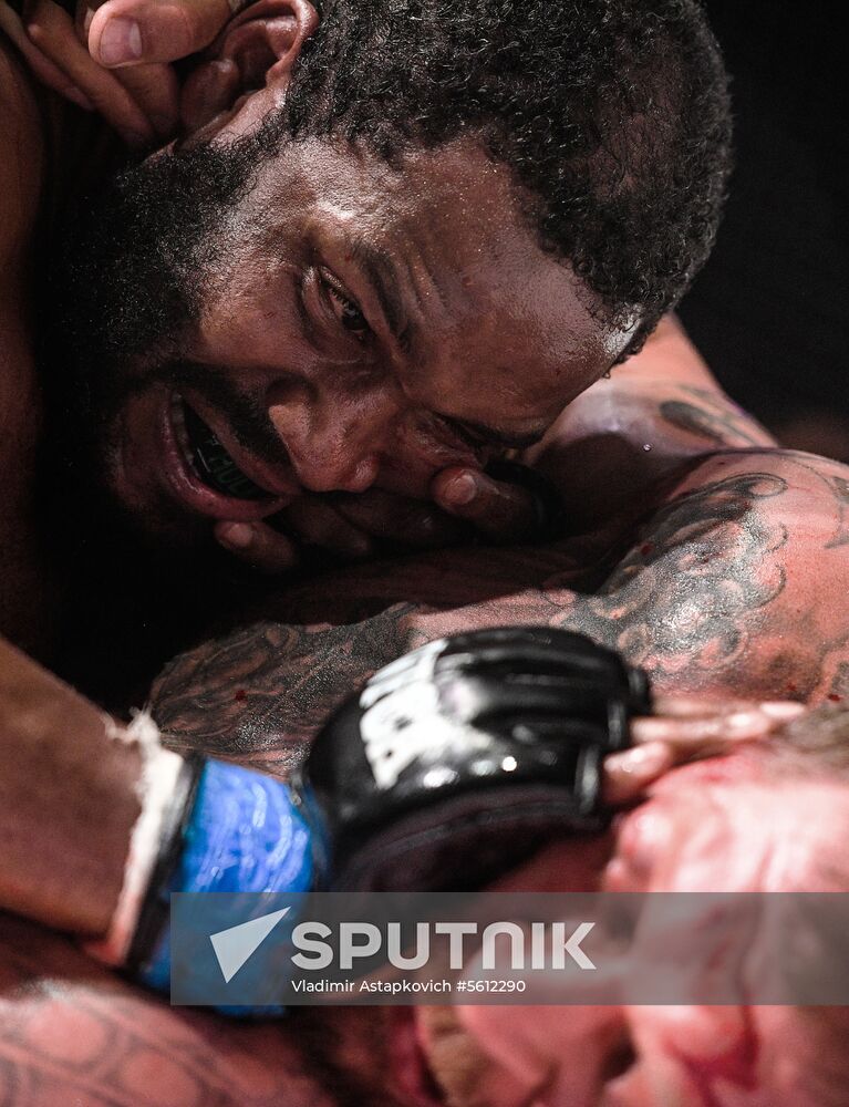 Mixed martial arts. Aleksander Emelianenko vs. Tony Johnson