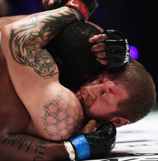 Mixed martial arts. Aleksander Emelianenko vs. Tony Johnson