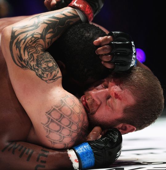 Mixed martial arts. Aleksander Emelianenko vs. Tony Johnson