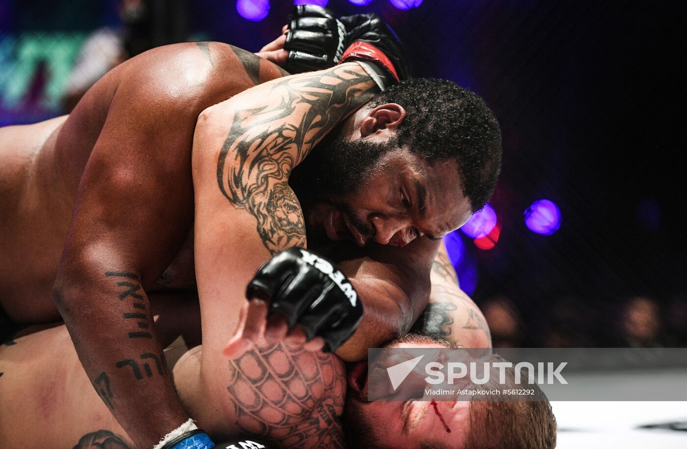 Mixed martial arts. Aleksander Emelianenko vs. Tony Johnson