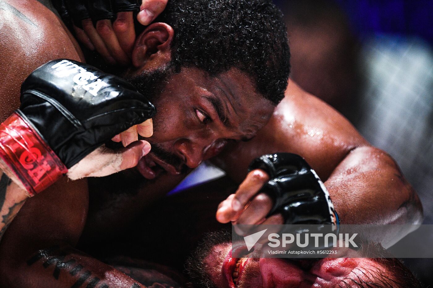 Mixed martial arts. Aleksander Emelianenko vs. Tony Johnson