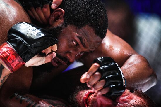 Mixed martial arts. Aleksander Emelianenko vs. Tony Johnson