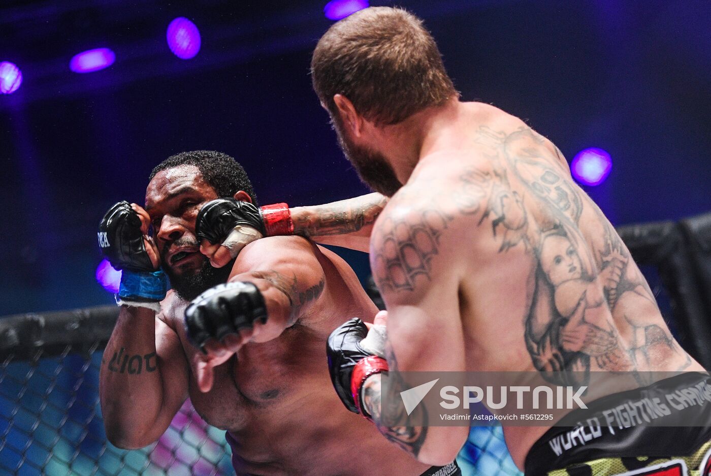 Mixed martial arts. Aleksander Emelianenko vs. Tony Johnson