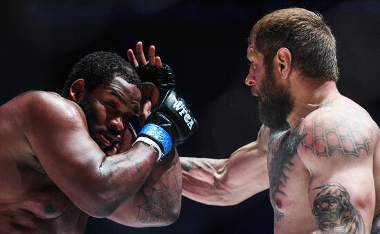 Mixed martial arts. Aleksander Emelianenko vs. Tony Johnson