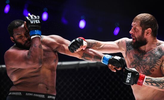 Mixed martial arts. Aleksander Emelianenko vs. Tony Johnson