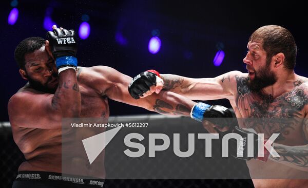 Mixed martial arts. Aleksander Emelianenko vs. Tony Johnson