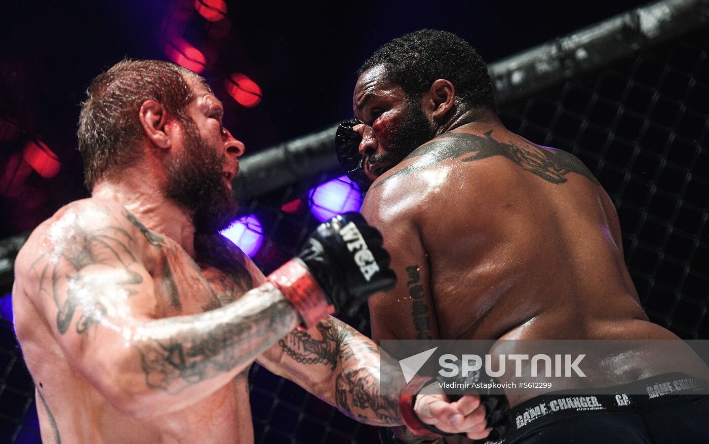 Mixed martial arts. Aleksander Emelianenko vs. Tony Johnson