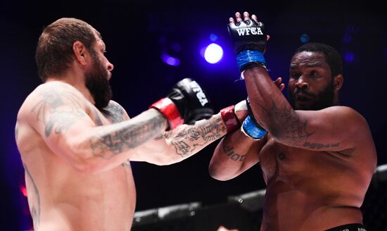 Mixed martial arts. Aleksander Emelianenko vs. Tony Johnson