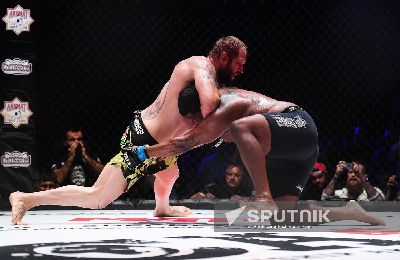 Mixed martial arts. Aleksander Emelianenko vs. Tony Johnson