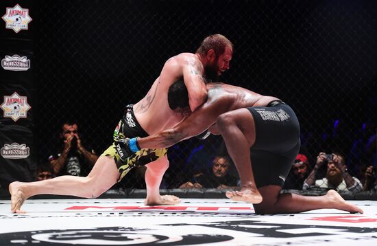 Mixed martial arts. Aleksander Emelianenko vs. Tony Johnson