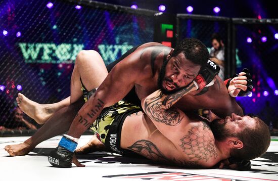 Mixed martial arts. Aleksander Emelianenko vs. Tony Johnson