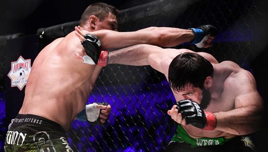 Mixed martial arts. Aleksander Emelianenko vs. Tony Johnson