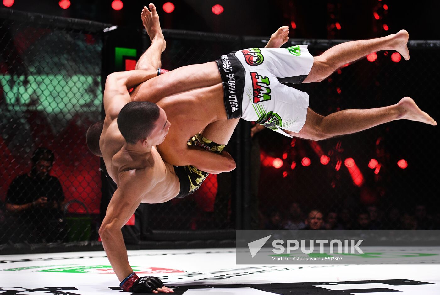 Mixed martial arts. Aleksander Emelianenko vs. Tony Johnson