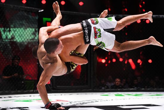 Mixed martial arts. Aleksander Emelianenko vs. Tony Johnson