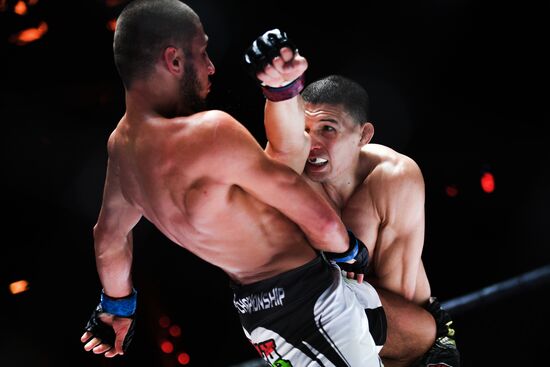 Mixed martial arts. Aleksander Emelianenko vs. Tony Johnson