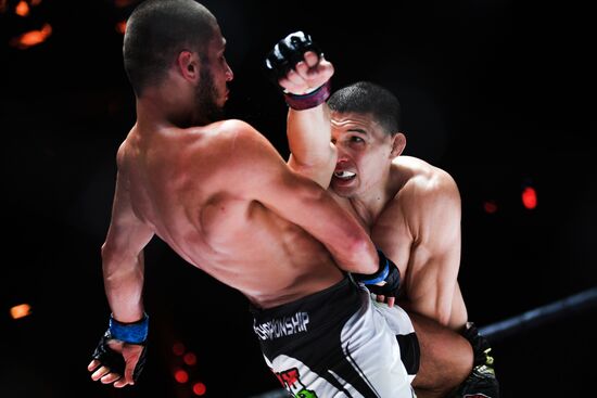 Mixed martial arts. Aleksander Emelianenko vs. Tony Johnson