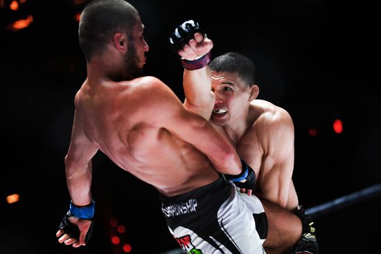 Mixed martial arts. Aleksander Emelianenko vs. Tony Johnson