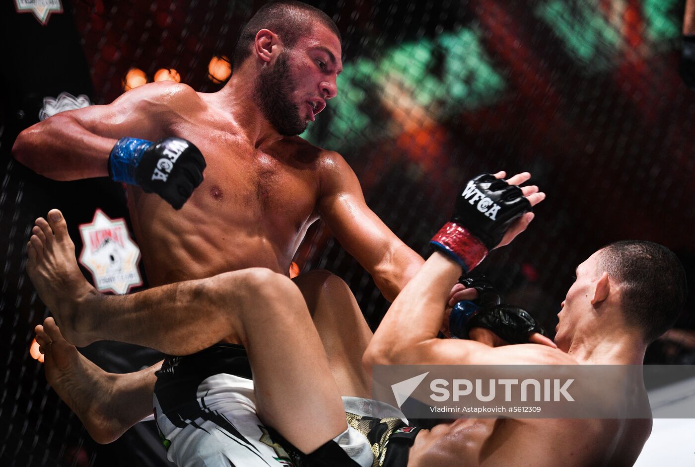 Mixed martial arts. Aleksander Emelianenko vs. Tony Johnson
