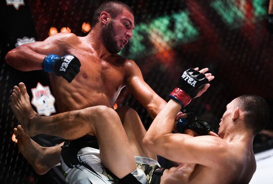 Mixed martial arts. Aleksander Emelianenko vs. Tony Johnson